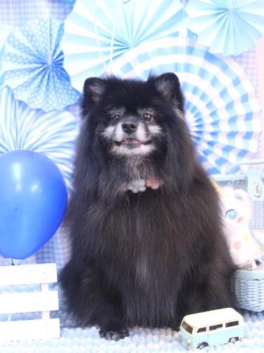 20231125ふわりちゃん